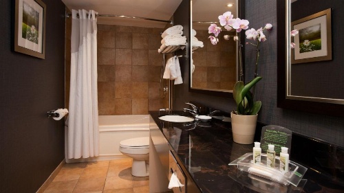Holiday Inn Hotel & Suites Mississauga image 6